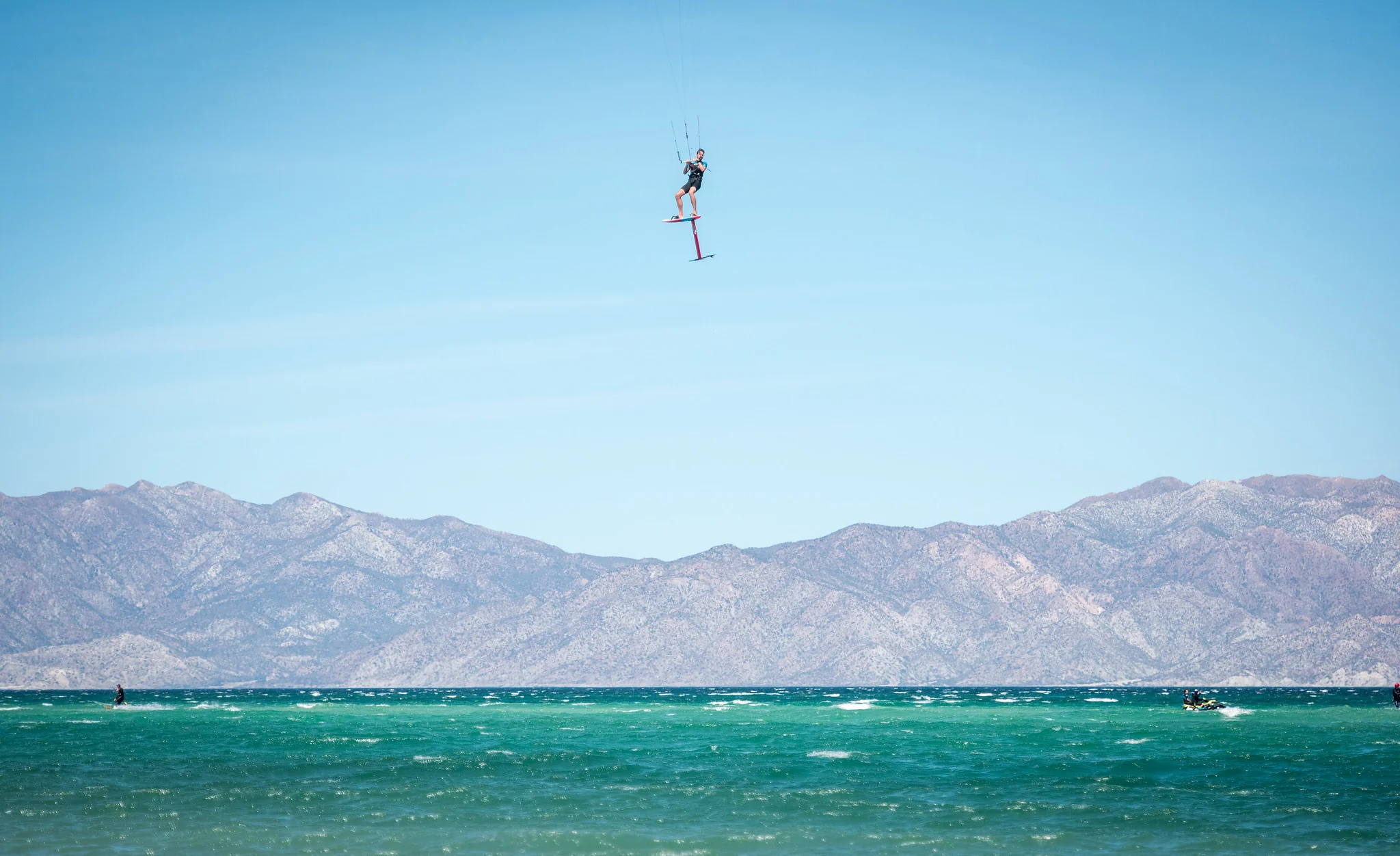 SUP Tuttle Head - Image 5